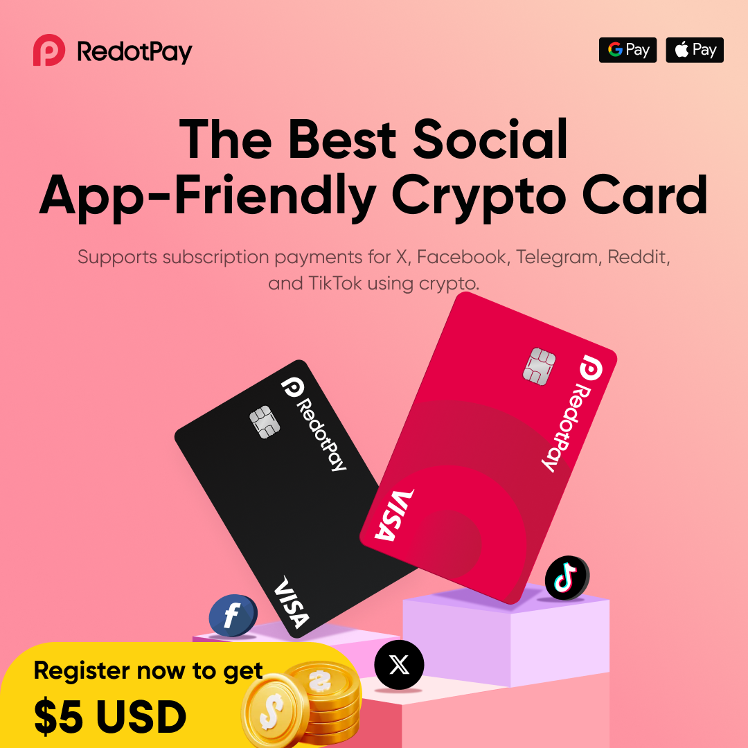 RedotPay payment flow visual 5